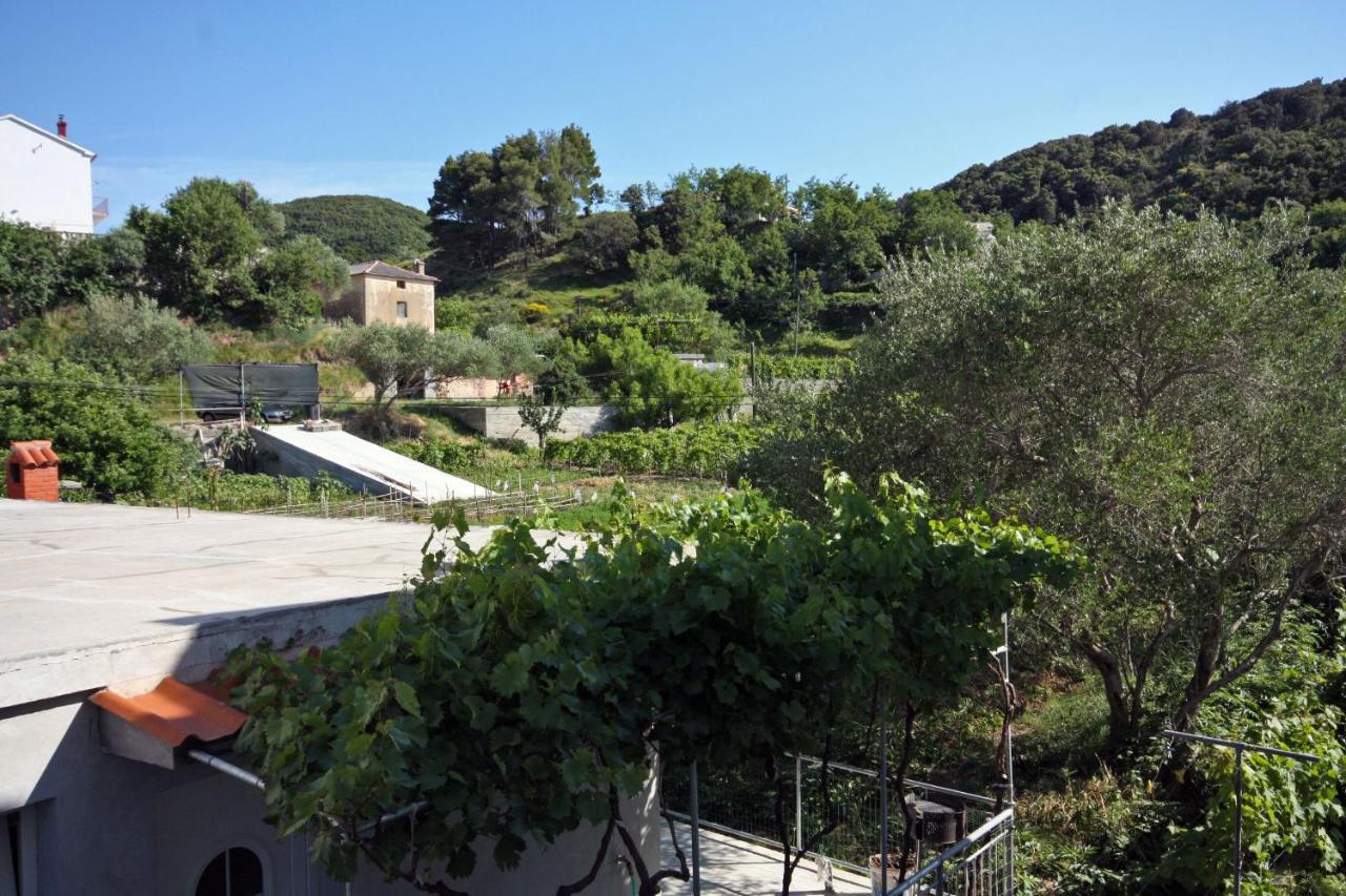 Family Friendly Apartments With A Swimming Pool Supetarska Draga - Donja, Rab - 2019 Exterior photo